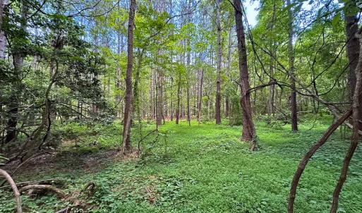 Photo #12 of Off Rolling Acres Rd, Skippers, VA 3.0 acres