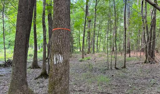 Photo #15 of Off Rolling Acres Rd, Skippers, VA 3.0 acres