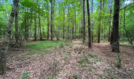 Photo #17 of Off Rolling Acres Rd, Skippers, VA 3.0 acres