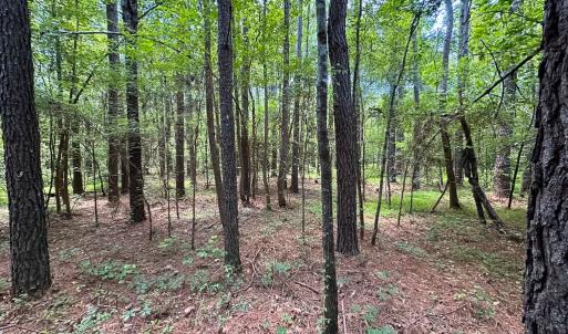 Photo #18 of Off Rolling Acres Rd, Skippers, VA 3.0 acres