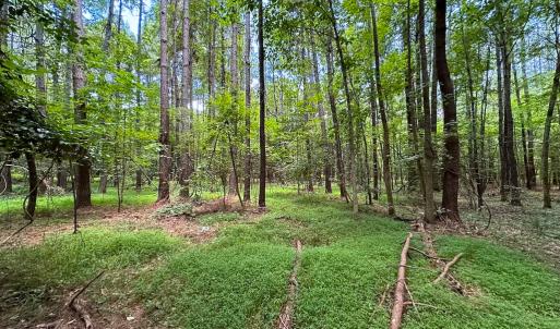 Photo #19 of Off Rolling Acres Rd, Skippers, VA 3.0 acres