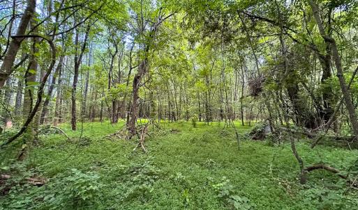 Photo #20 of Off Rolling Acres Rd, Skippers, VA 3.0 acres