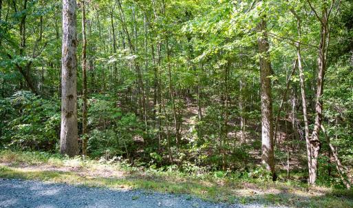 Photo #24 of Off Mays Chapel Rd, Bear Creek, NC 20.0 acres