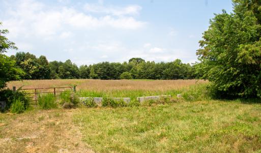 Photo #5 of Off A.L. Philpott Hwy, Martinsville, VA 40.6 acres