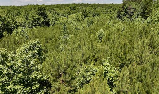 Photo #11 of Off Baltimore Rd, Warrenton, NC 2.4 acres