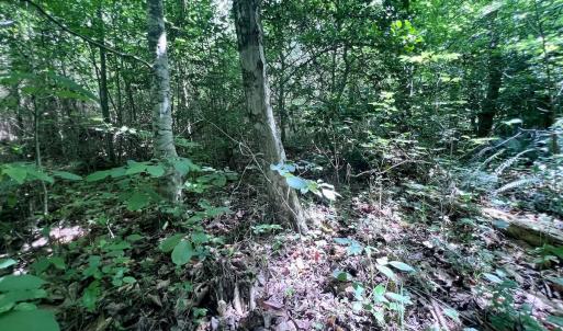 Photo #38 of Off Baltimore Rd, Warrenton, NC 2.4 acres