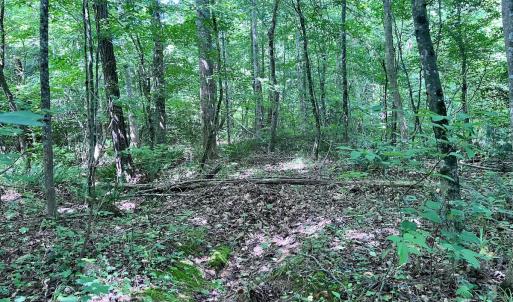 Photo #39 of Off Baltimore Rd, Warrenton, NC 2.4 acres