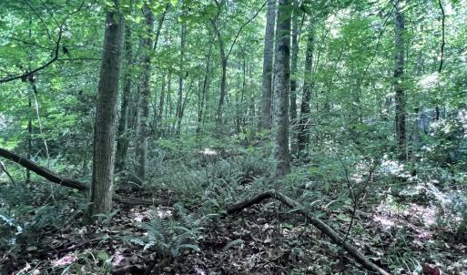 Photo #40 of Off Baltimore Rd, Warrenton, NC 2.4 acres