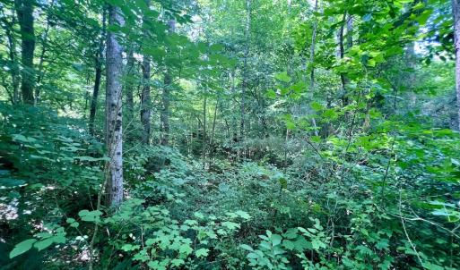 Photo #48 of Off Baltimore Rd, Warrenton, NC 2.4 acres