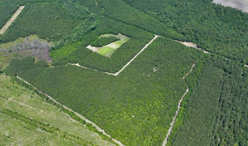 Photo #2 of Off Long Ridge Rd, Plymouth, NC 88.7 acres