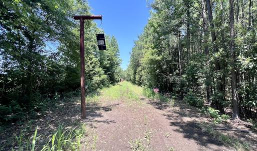 Photo #11 of Off Long Ridge Rd, Plymouth, NC 88.7 acres