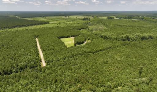 Photo #12 of Off Long Ridge Rd, Plymouth, NC 88.7 acres