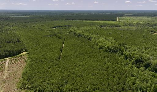 Photo #13 of Off Long Ridge Rd, Plymouth, NC 88.7 acres
