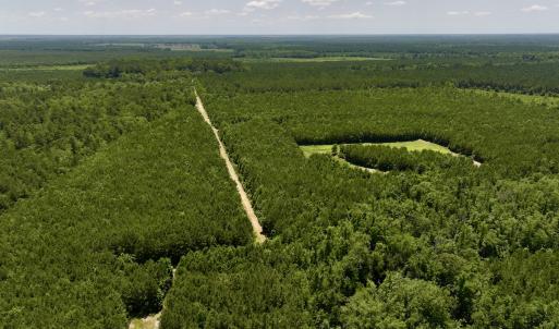 Photo #14 of Off Long Ridge Rd, Plymouth, NC 88.7 acres