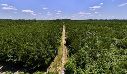 Photo #15 of Off Long Ridge Rd, Plymouth, NC 88.7 acres