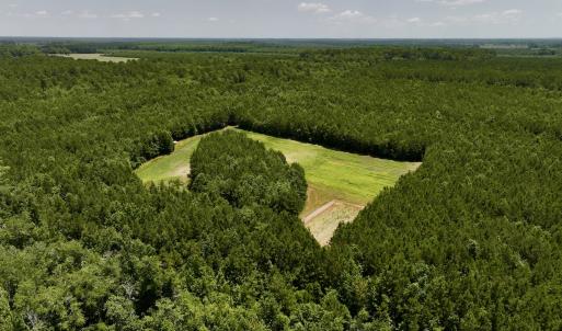 Photo #17 of Off Long Ridge Rd, Plymouth, NC 88.7 acres