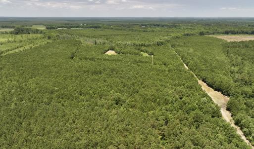 Photo #4 of Off Long Ridge Rd, Plymouth, NC 88.7 acres