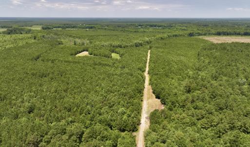 Photo #5 of Off Long Ridge Rd, Plymouth, NC 88.7 acres