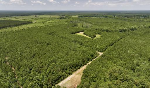 Photo #6 of Off Long Ridge Rd, Plymouth, NC 88.7 acres