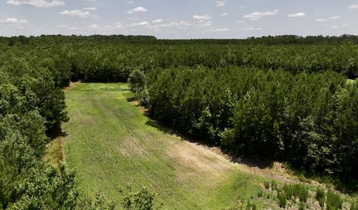 Photo #24 of Off Long Ridge Rd, Plymouth, NC 88.7 acres
