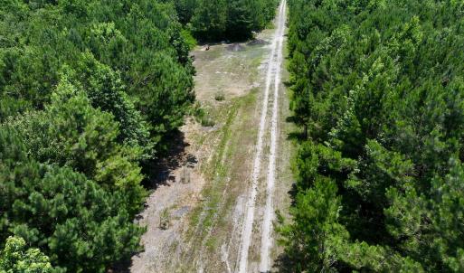 Photo #25 of Off Long Ridge Rd, Plymouth, NC 88.7 acres