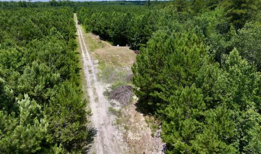 Photo #26 of Off Long Ridge Rd, Plymouth, NC 88.7 acres