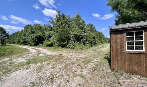 Photo #29 of Off Long Ridge Rd, Plymouth, NC 88.7 acres