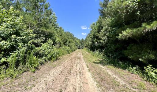 Photo #31 of Off Long Ridge Rd, Plymouth, NC 88.7 acres