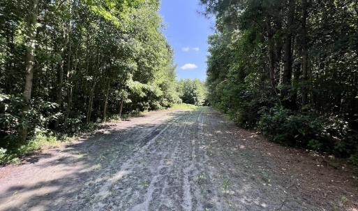 Photo #32 of Off Long Ridge Rd, Plymouth, NC 88.7 acres