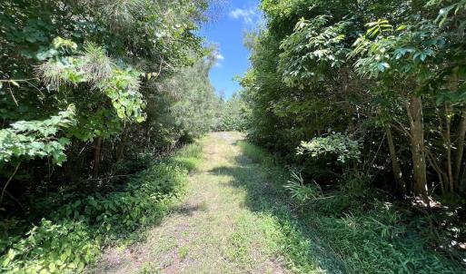 Photo #33 of Off Long Ridge Rd, Plymouth, NC 88.7 acres