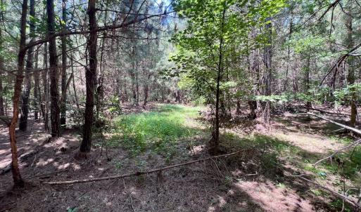 Photo #36 of Off Long Ridge Rd, Plymouth, NC 88.7 acres