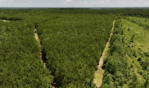 Photo #39 of Off Long Ridge Rd, Plymouth, NC 88.7 acres