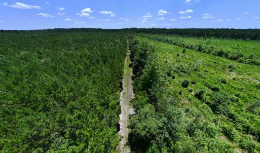 Photo #40 of Off Long Ridge Rd, Plymouth, NC 88.7 acres