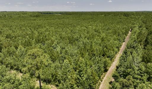 Photo #41 of Off Long Ridge Rd, Plymouth, NC 88.7 acres