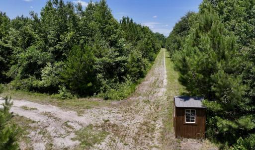 Photo #42 of Off Long Ridge Rd, Plymouth, NC 88.7 acres