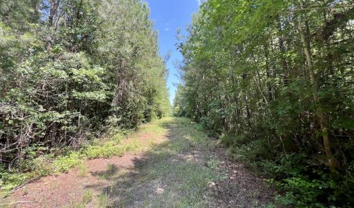 Photo #49 of Off Long Ridge Rd, Plymouth, NC 88.7 acres