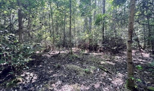 Photo #50 of Off Long Ridge Rd, Plymouth, NC 88.7 acres