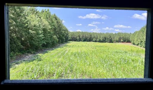 Photo #56 of Off Long Ridge Rd, Plymouth, NC 88.7 acres