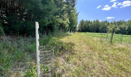 Photo #60 of Off Long Ridge Rd, Plymouth, NC 88.7 acres