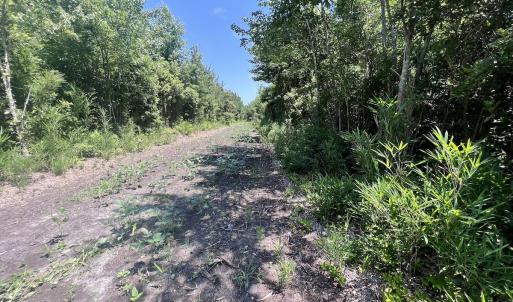 Photo #68 of Off Long Ridge Rd, Plymouth, NC 88.7 acres