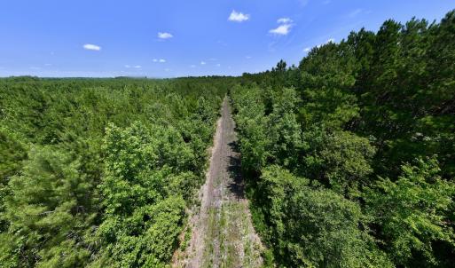 Photo #74 of Off Long Ridge Rd, Plymouth, NC 88.7 acres