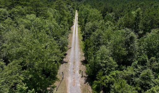 Photo #76 of Off Long Ridge Rd, Plymouth, NC 88.7 acres