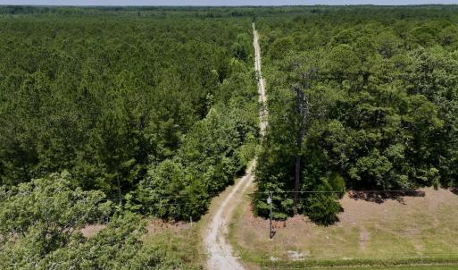 Photo #77 of Off Long Ridge Rd, Plymouth, NC 88.7 acres