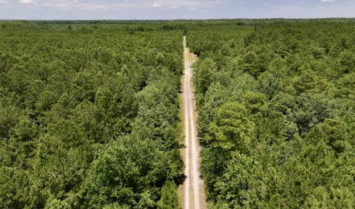 Photo #78 of Off Long Ridge Rd, Plymouth, NC 88.7 acres