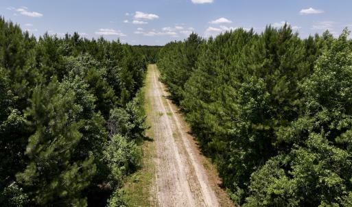 Photo #79 of Off Long Ridge Rd, Plymouth, NC 88.7 acres