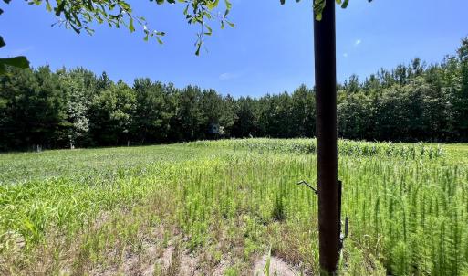 Photo #80 of Off Long Ridge Rd, Plymouth, NC 88.7 acres