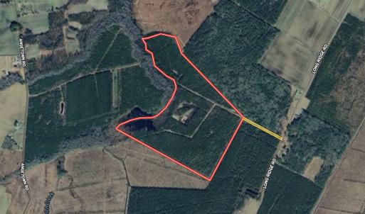 Photo #1 of Off Long Ridge Rd, Plymouth, NC 88.7 acres