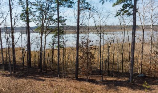 Photo #22 of Off Old Gaston Extended - Lot 1, Gaston, NC 0.5 acres