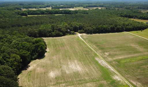 Photo #11 of Off Meherrin Rd, Courtland, VA 115.0 acres