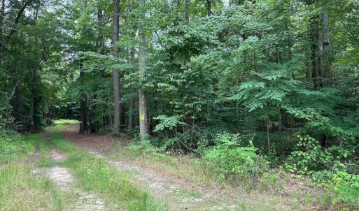 Photo #13 of Off Meherrin Rd, Courtland, VA 115.0 acres